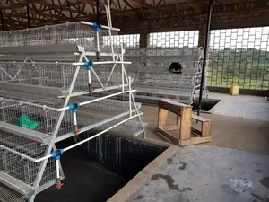 Premium Battery Cage