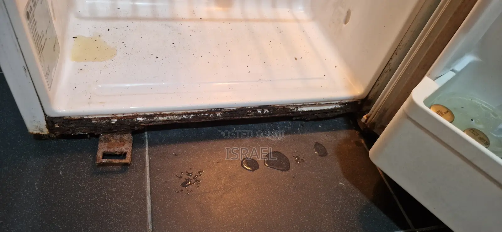 Lg Refrigerator
