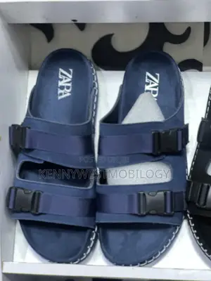Zara Palms