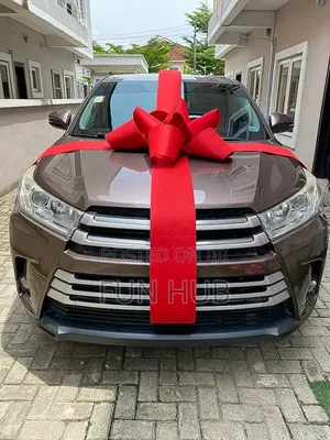 Car Presentation Bow