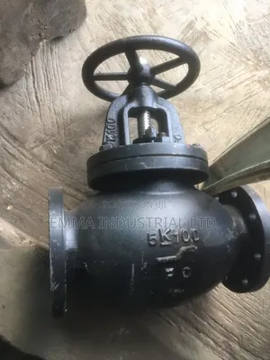 Jis F7305 Cast Iron Globe Valve With A Pressure