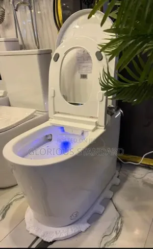 Original England Sensor Wc
