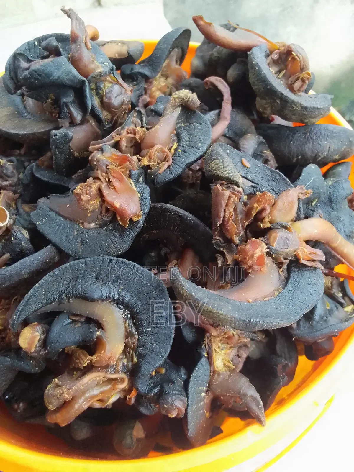 Oven Dried Snail and Periwinkle