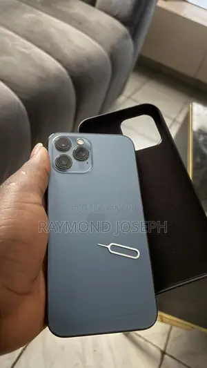 Apple iPhone 12 Pro Max 256 GB Blue