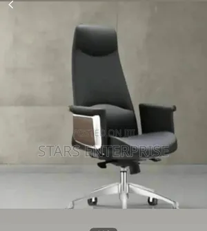 Office Chair /Swivel Chair