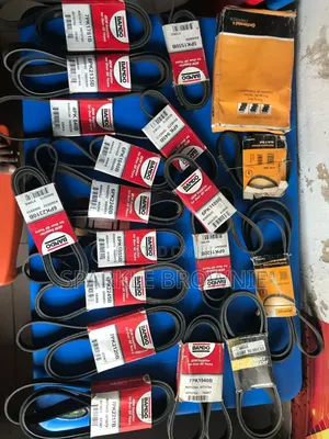 Us Imported Car Manufacturers a Grade Engine Belts, 5years Warranty