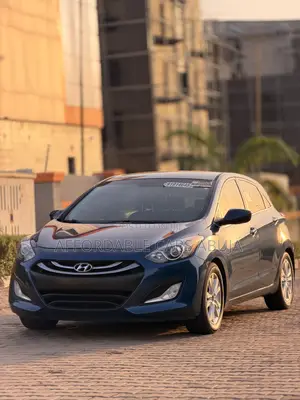 Hyundai Elantra 2015 Blue