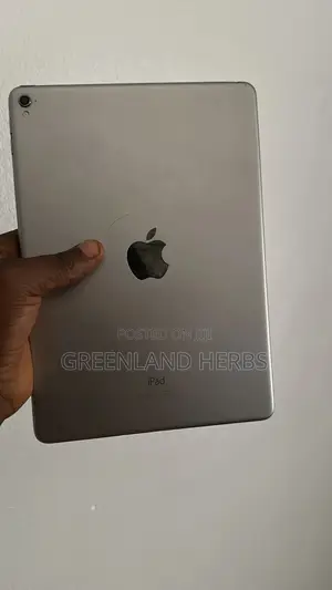 Apple iPad Pro 128 GB Gray