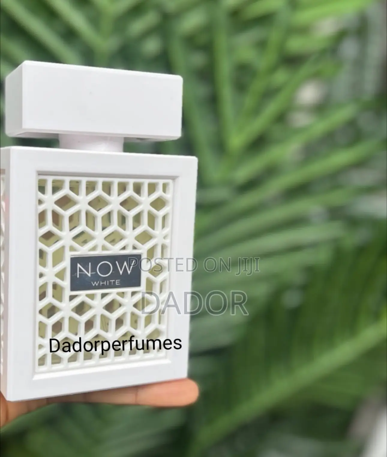 Rave Now White
