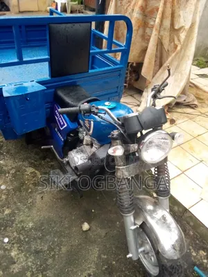 Daylong DL200-30 2004 Blue