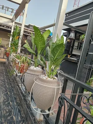 Michelinos Landscaping & Garden Services