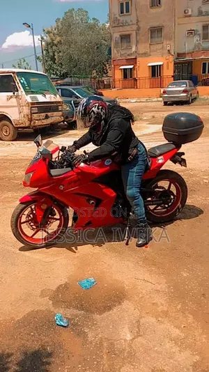 Kawasaki 2010 Red