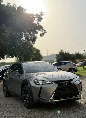Lexus UX 200 2020 Gray