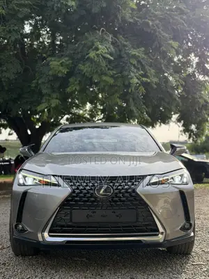 Lexus UX 200 2020 Gray