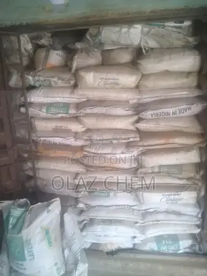High Quality Bentonite (Local Imported) for Drilling Piling