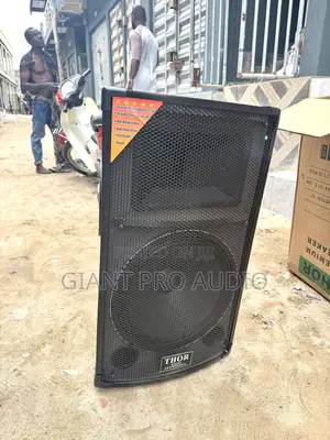 Thor Sound Proffesional Speaker