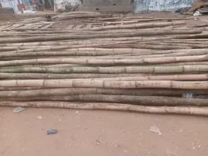 Timber Thick Bambooza