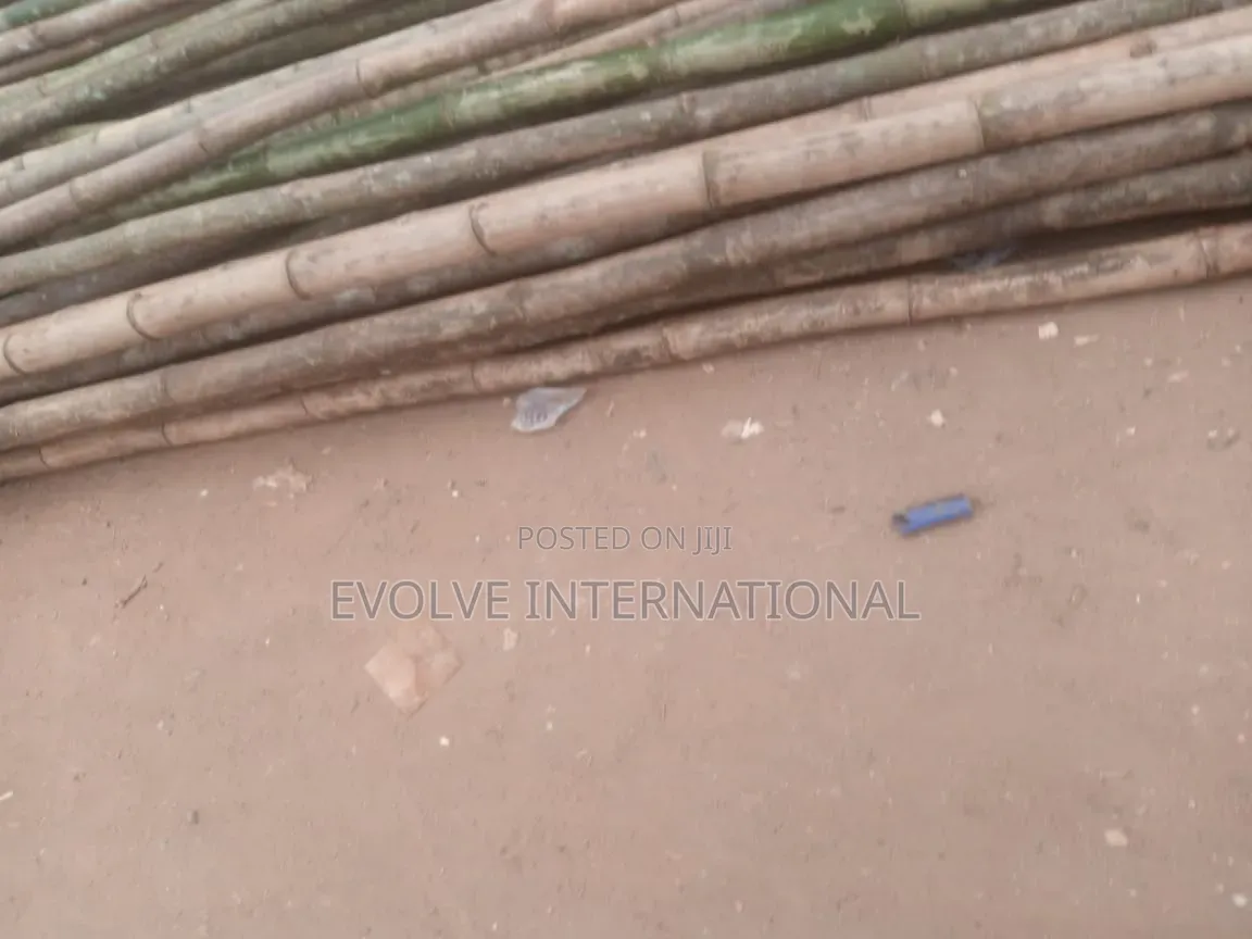 Ever Ready Bamboo