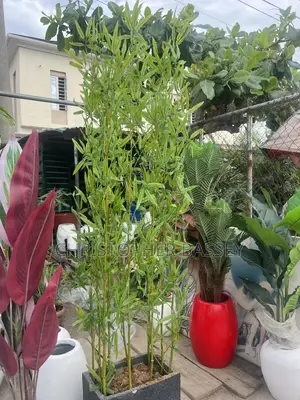 Artificial Plants, Vases and White Choppiest