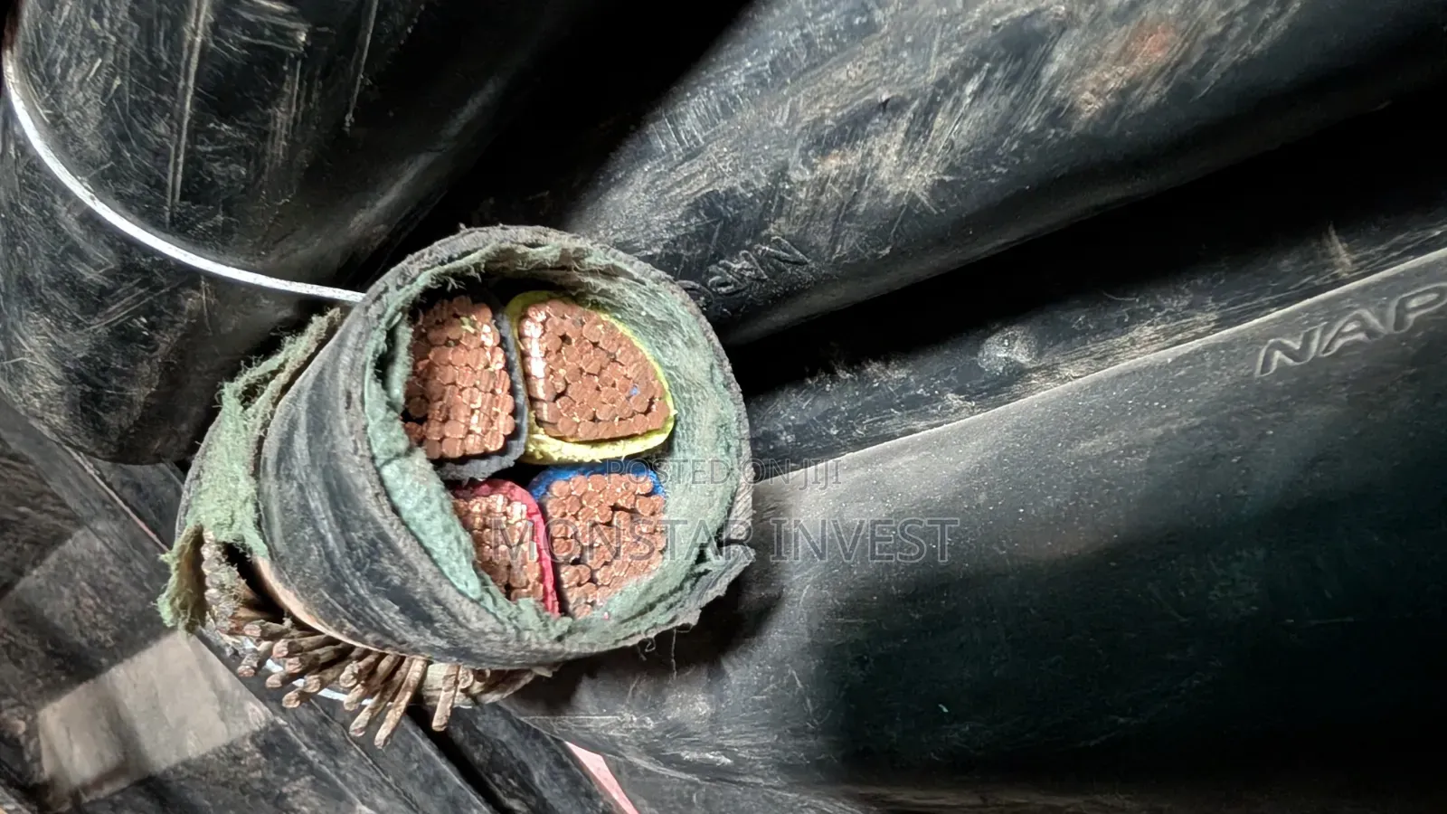 Armored Cable Niger Chin