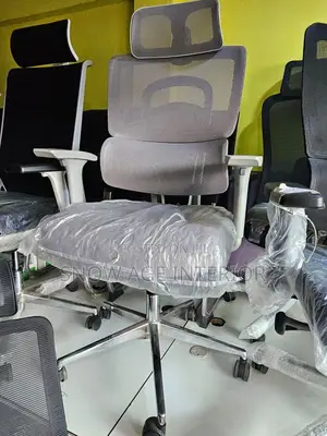 Executive Office Swivel Mesh Chair(With Lumbar Support)