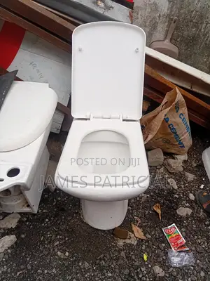 Toilet Seat