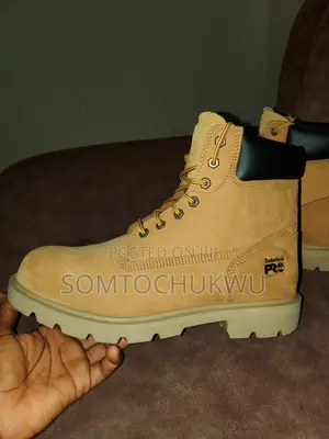 Timberland Shoe