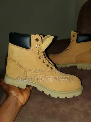 Timberland Shoe