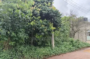 Land Measuring 100 by 100