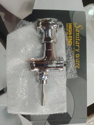 Flushing Valve