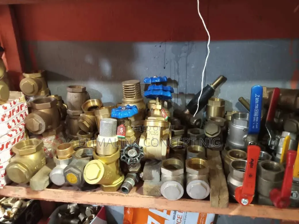 Brass Threaded Gate Valve