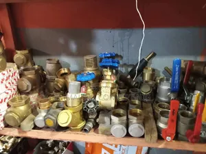 Brass Threaded Gate Valve