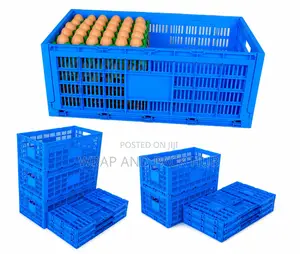 Foldable Egg Transport Crate.