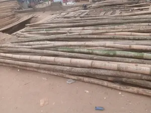 Bamboo Stick Thick for Building Construction