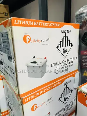 1.2kwh 12v Felicity Lithium Battery