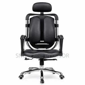 Executive Ergonomic Lumber Support Kidney Chair (Fix Arm)