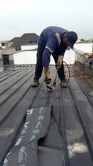 Modest Roof Waterproofing Expert