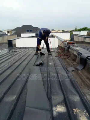 Modest Roof Waterproofing Expert