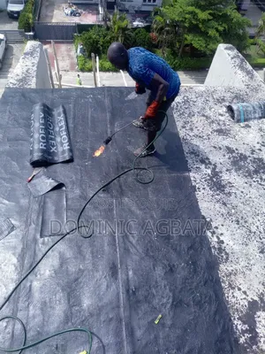 Genuine Roof Waterproofing Expert