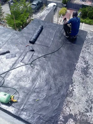 Genuine Roof Waterproofing Expert