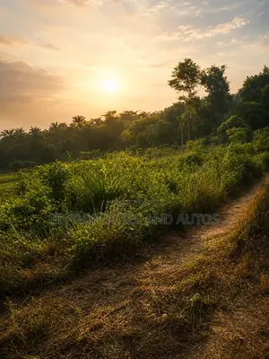 Farmlands for Sale