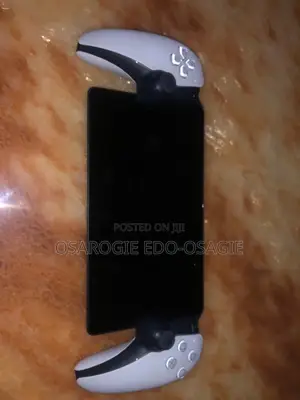 Playstation 5 Portal
