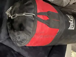 Punching Bag With Hanger Used