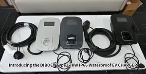 High Quality Certified Complete Brand New Direct Plug Ev Charger