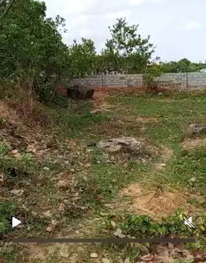 Sweet Residential Plot of Land