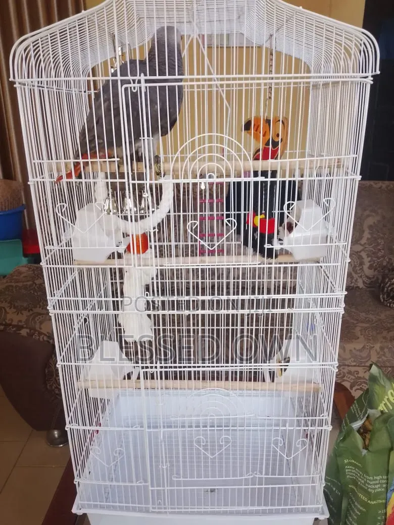 High Standard Quality Parrots Bird Cage