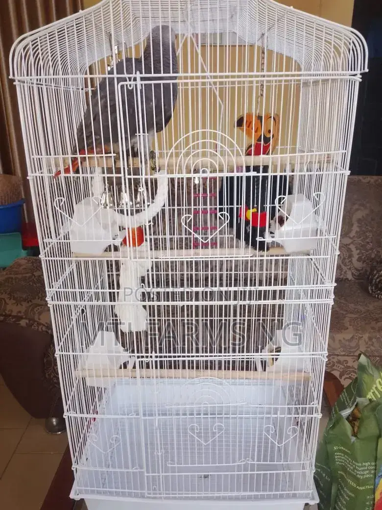 High Standard Quality Parrots Bird Cage