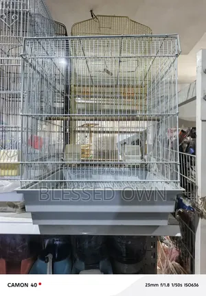High Quality Cage for Parrots