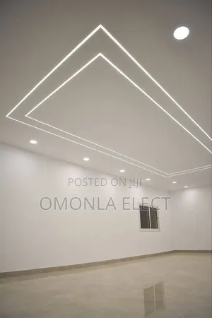 Omonla Elect