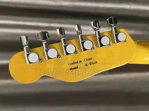 Electric Guitar